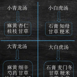 大小青龙|白虎汤方剂组成